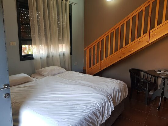 Dolphin Village主图