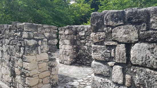 Reserva de la Biosfera de Calakmul-卡拉克穆尔必去景点