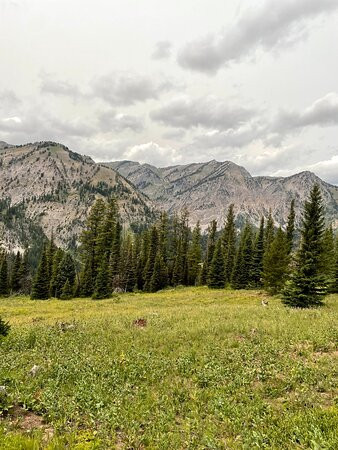 Jackson Hole Outfitters-Alpine必去景点