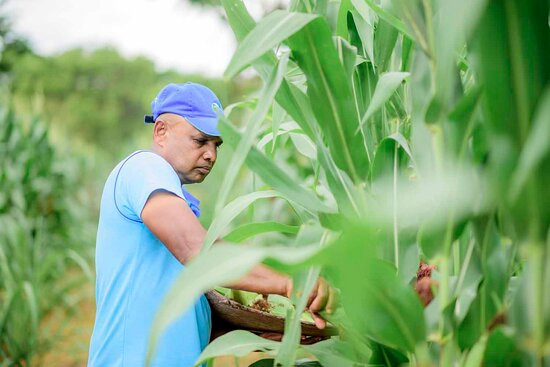 Birds Resort Hambantota主图