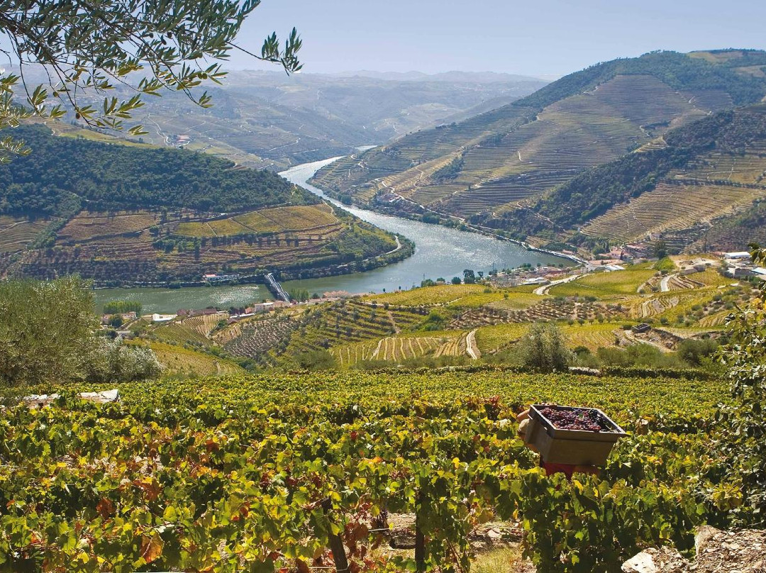 Europe Balcony - Portugal Private Tours-里斯本必去景点
