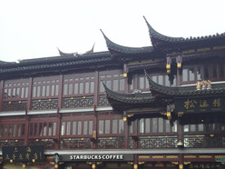 Gallery 1