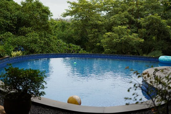 Capella Forest Retreat & Homestay主图