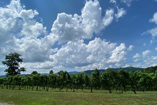 Addison Farms Vineyard景点图片