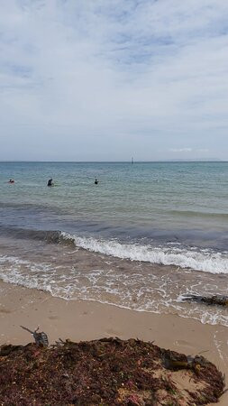 Mudeford Sandbank Beach景点图片