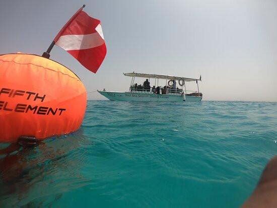 Red Sea Secret Diving Center-Port Sudan必去景点