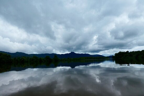 Daintree River Cruise Centre-Daintree必去景点