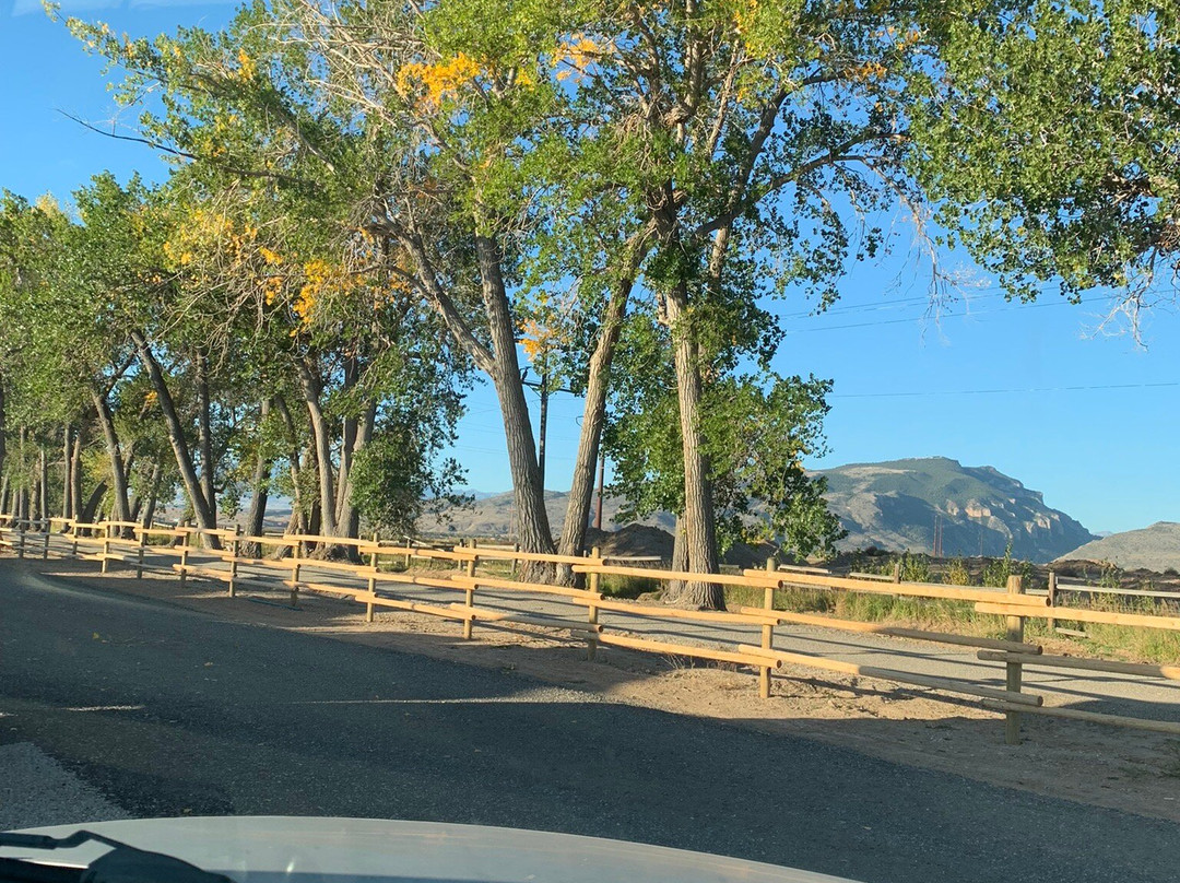 Buffalo Bluff RV Park