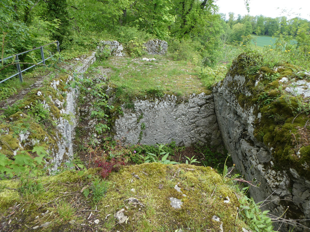Ruine Engenstein