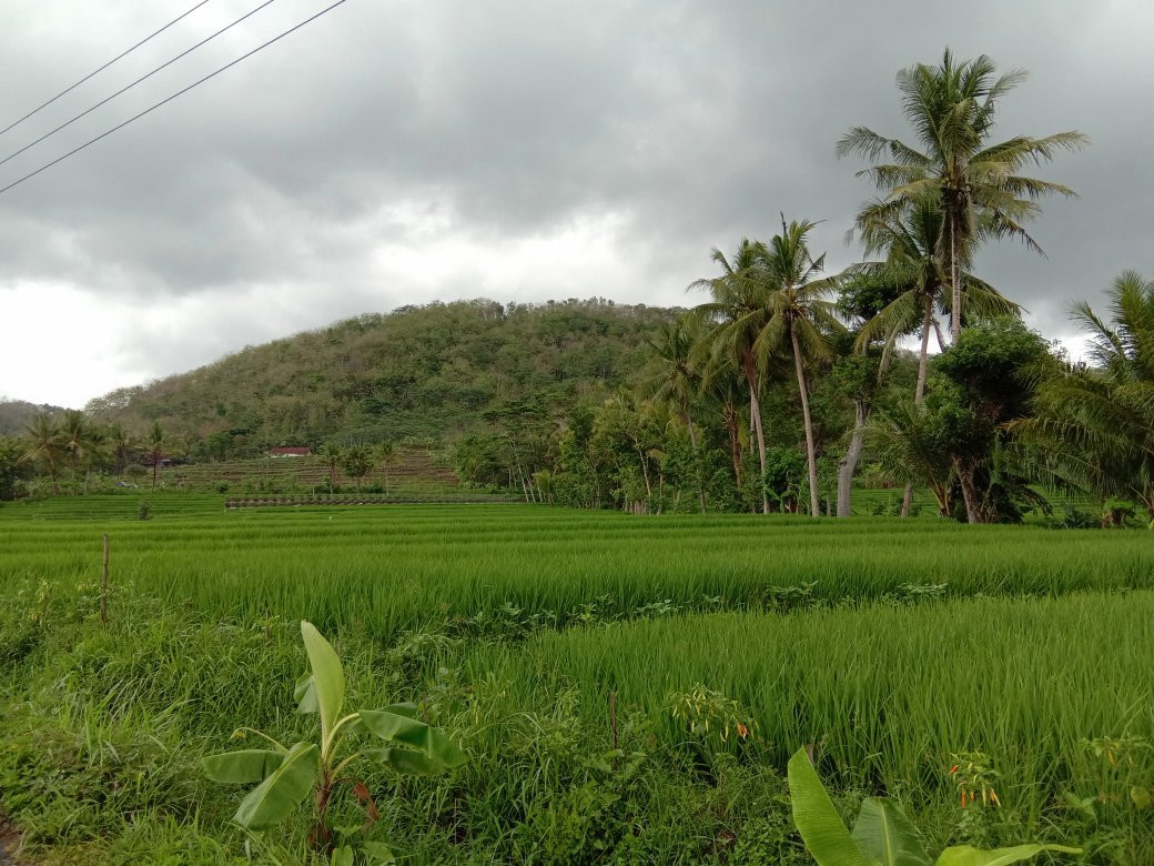 Yogya Driver Tour景点图片