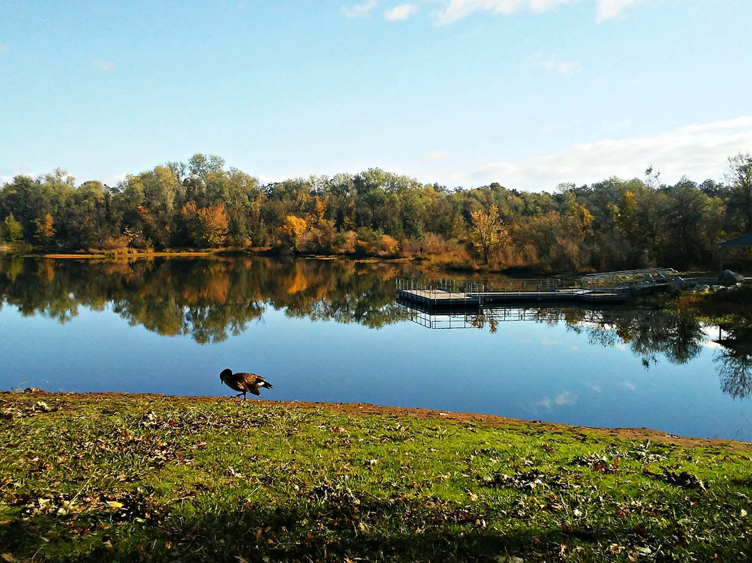 Anderson River Park景点图片
