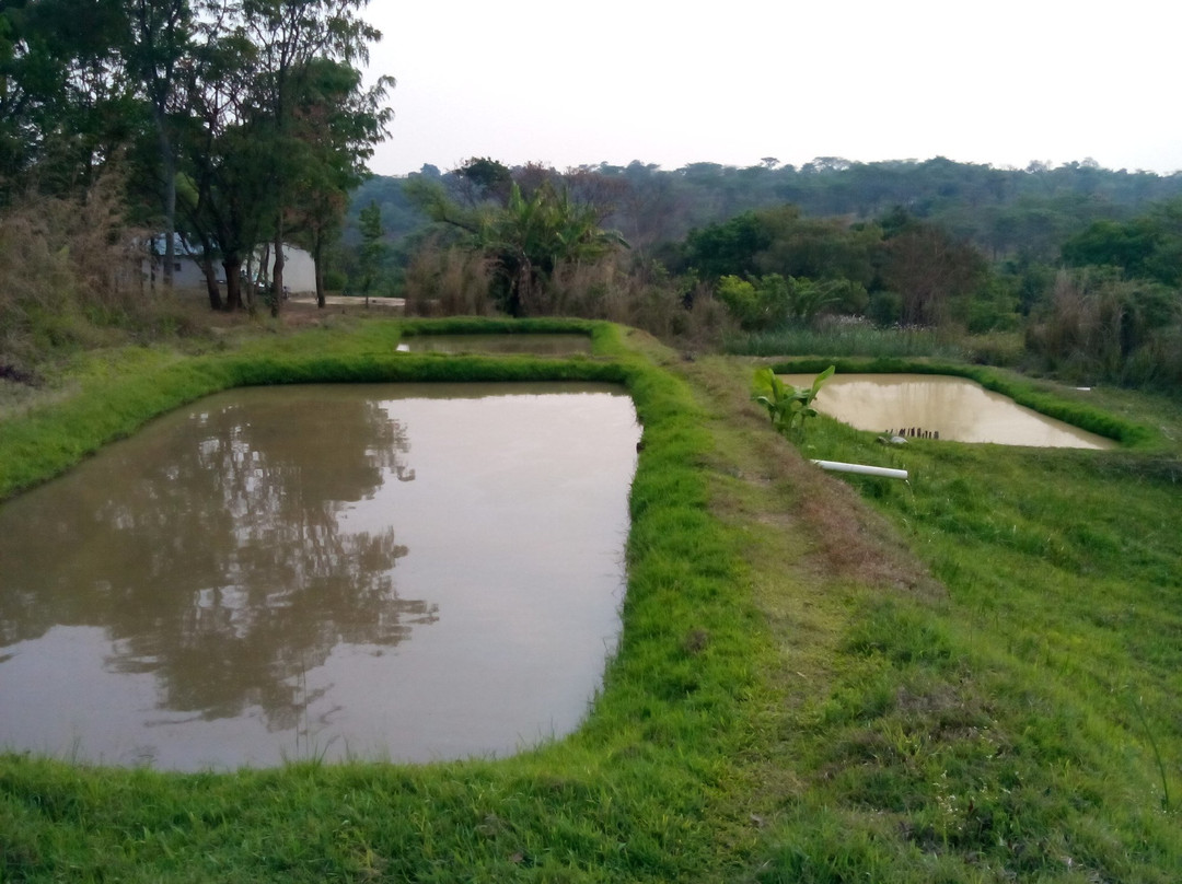 Mpika旅游攻略图片