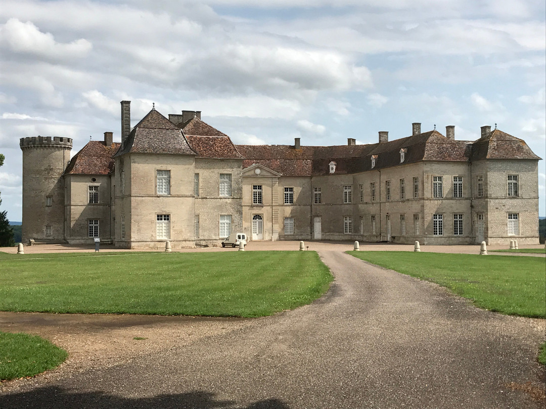 Château de Ray-sur-Saône景点图片