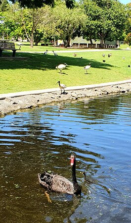 Lake Alford Park景点图片