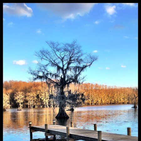 Caddo Lake Tours and Canoe Rentals-Uncertain必去景点