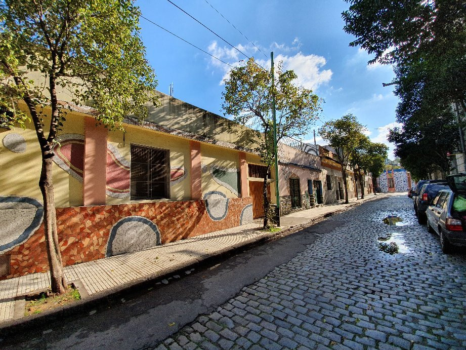 Calle Lanin-布宜诺斯艾利斯必去景点