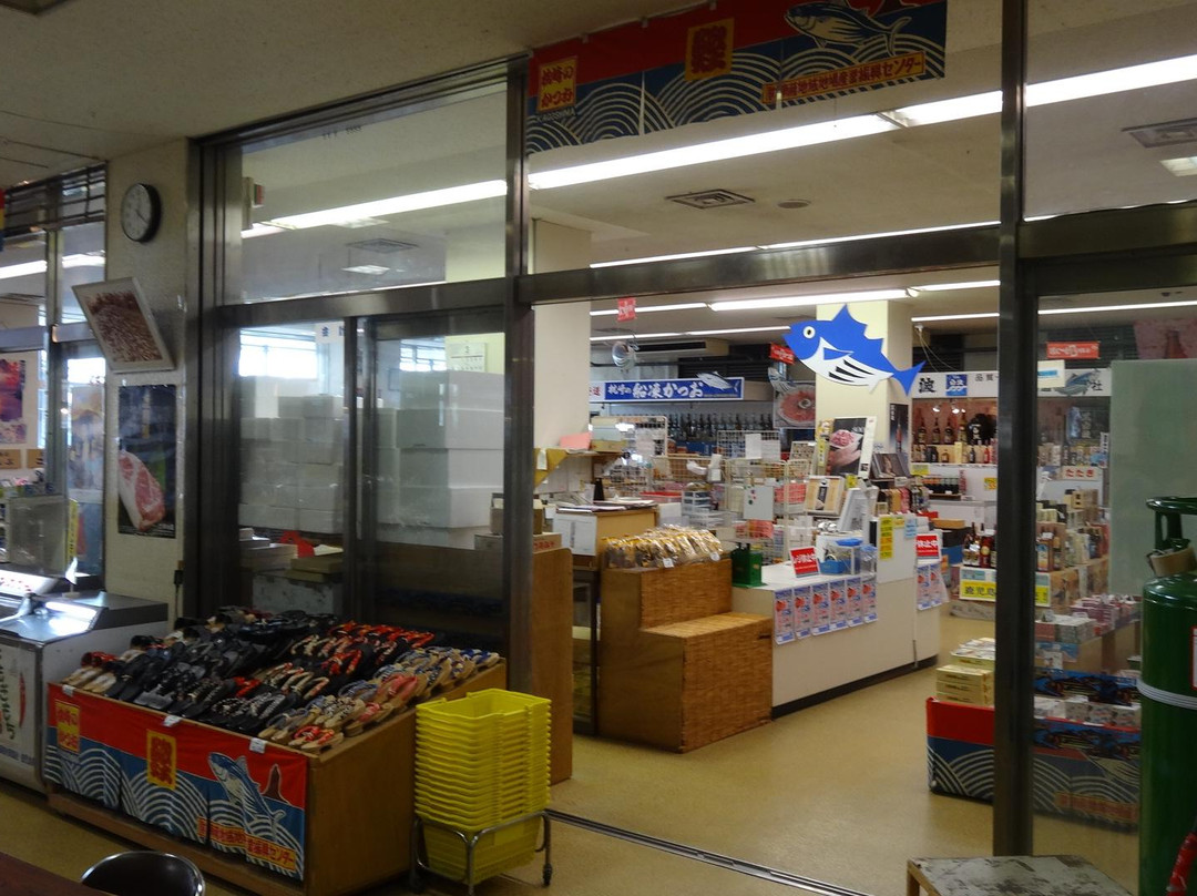 Nansatsu Area Local Industry Promotion Center景点图片
