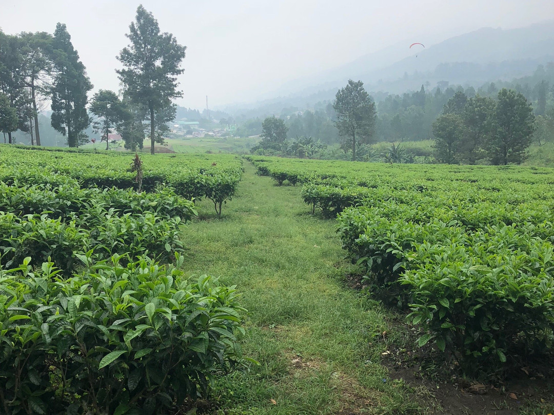 Bogor Tourist Information Center-茂物必去景点