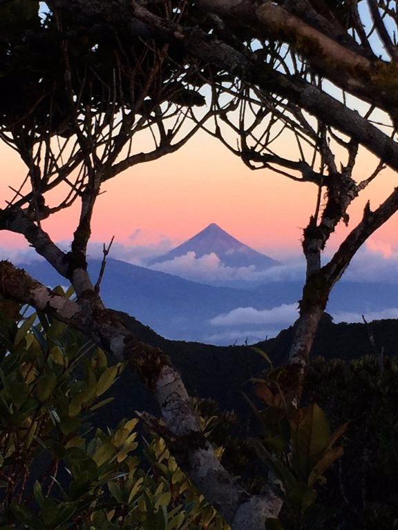 Mt Isarog National Park景点图片