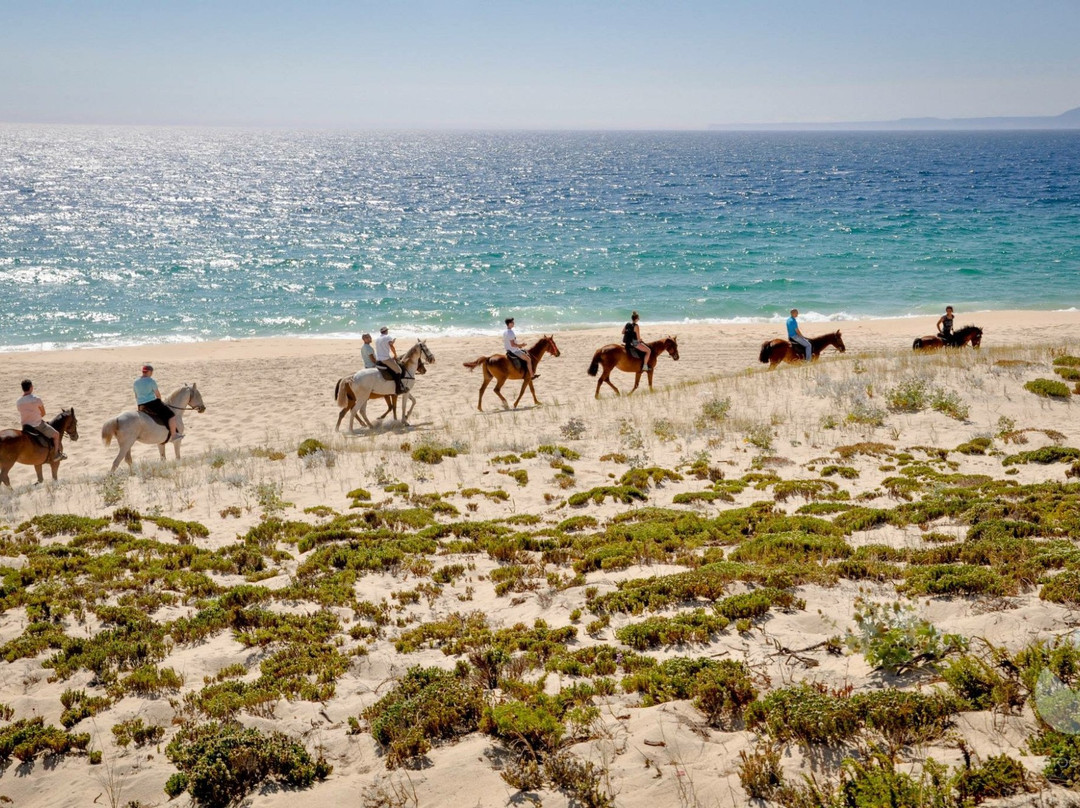 Cavalos na Areia景点图片
