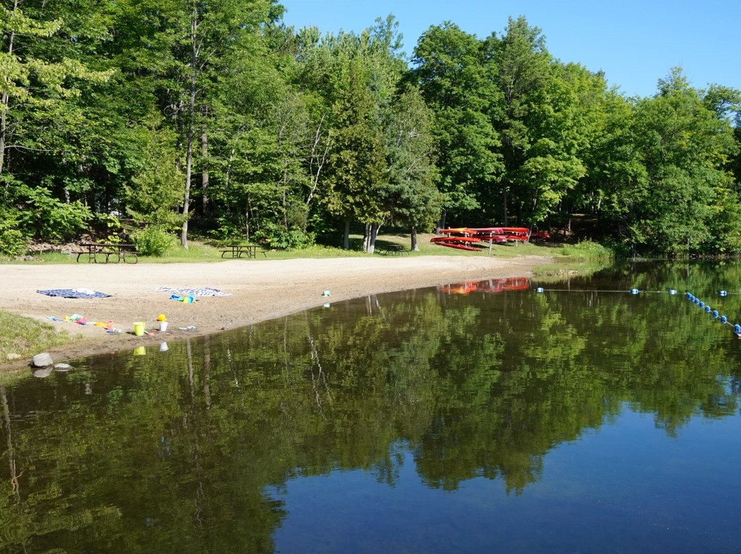 Sharbot Lake旅游攻略图片