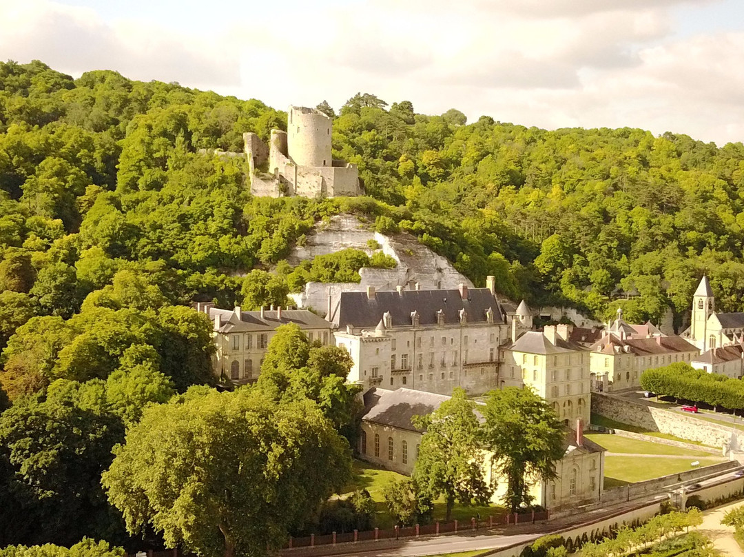 La Roche-Guyon旅游攻略图片