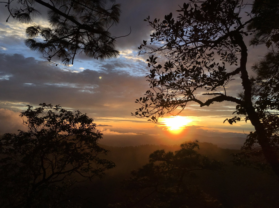 Phu Soi Dao National Park景点图片