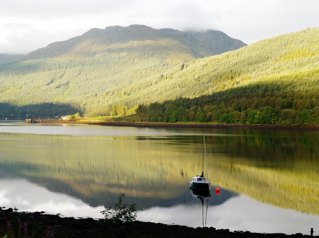 null-Arrochar