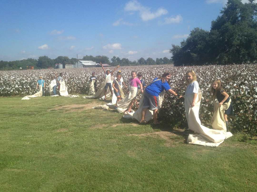 Ferriday旅游攻略图片