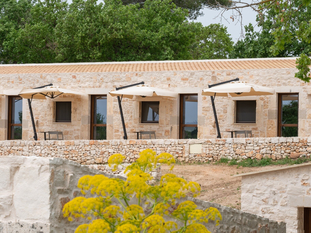 Donnapaola Modern Farm