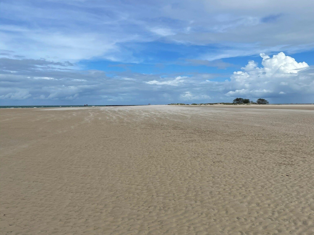 Moore Park Beach旅游攻略图片