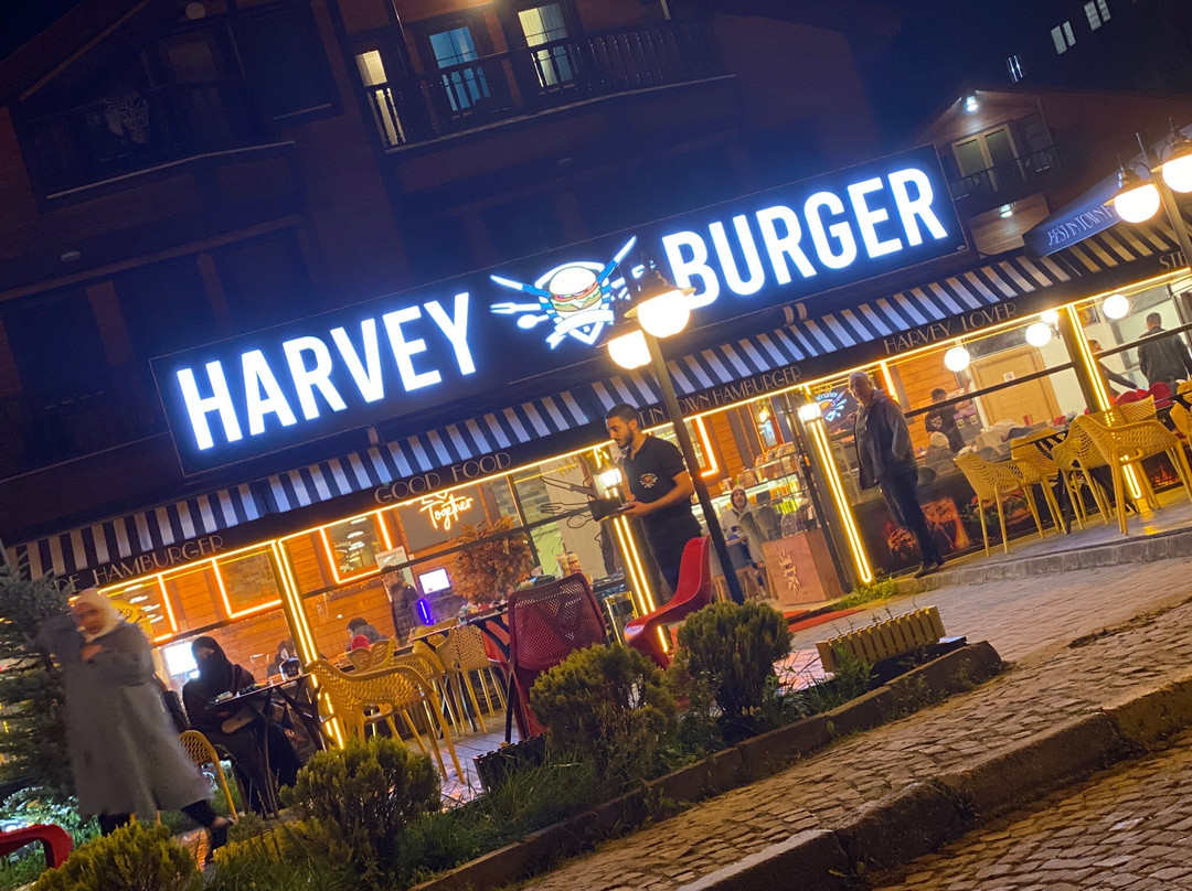 Harvey Burger