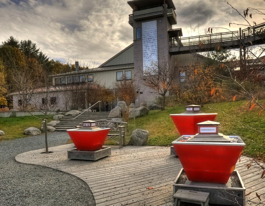 Montshire Museum of Science-Norwich必去景点