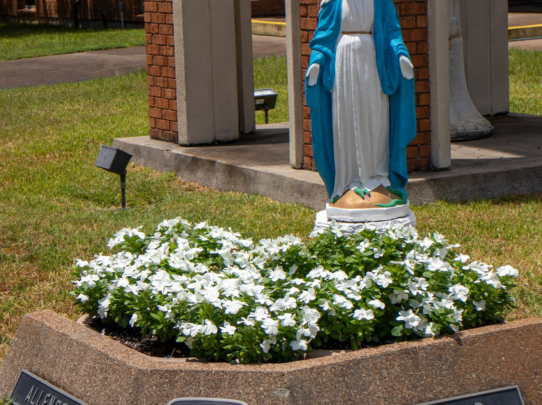 Immaculate Conception Catholic Church