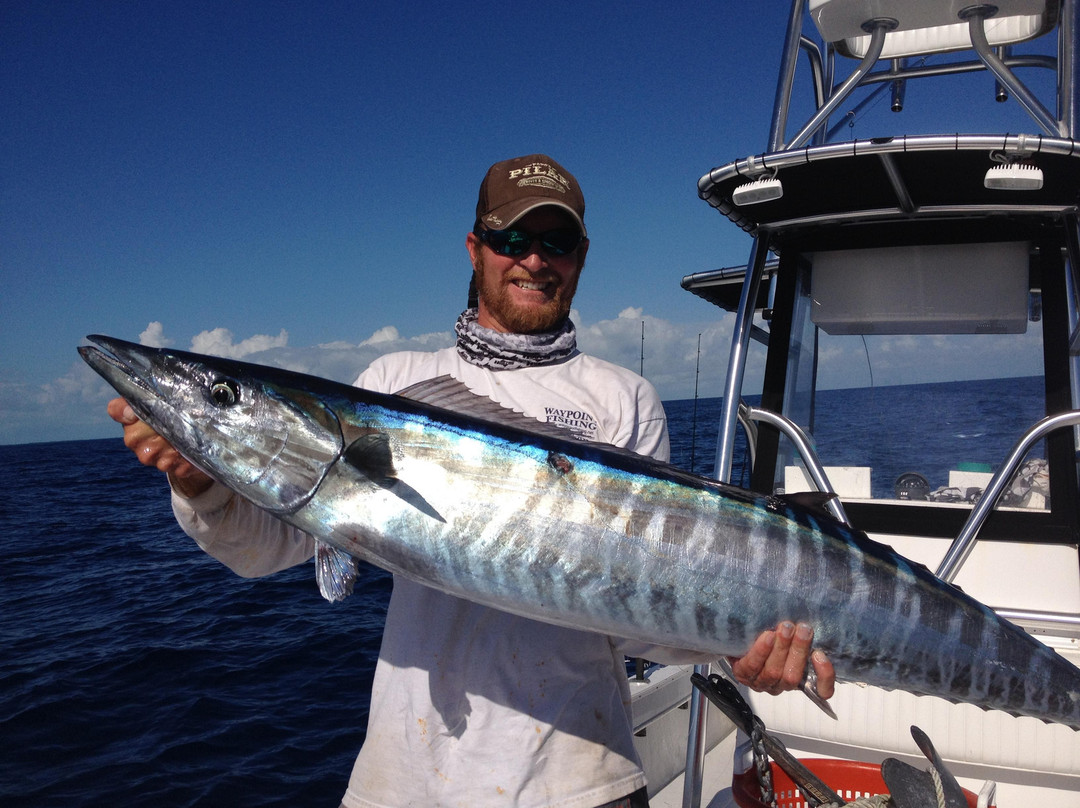 Waypoint Fishing Charters-Summerland Key必去景点