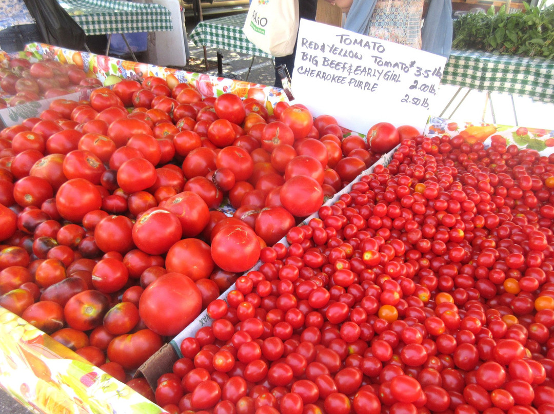 山景城旅游景点-Mountain View Farmers Market
