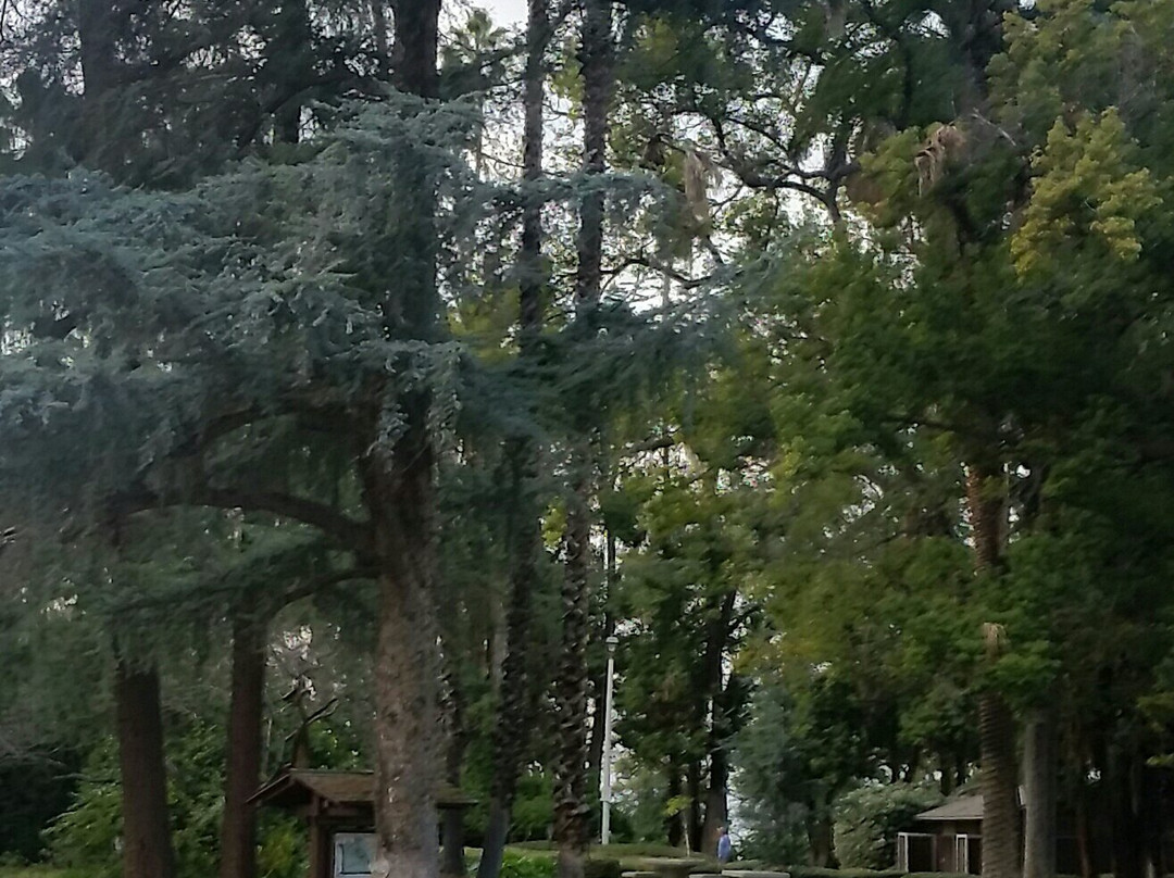 Calimesa旅游景点-Prospect Park