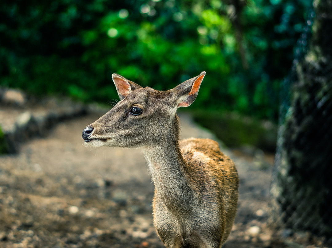 Made INN Vermont, an Urban-Chic Boutique Bed and Breakfast主图