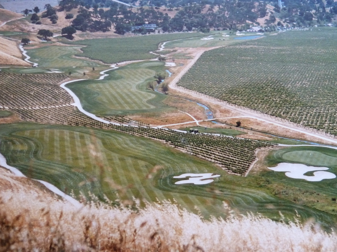 The Course at Wente Vineyards-利佛摩必去景点