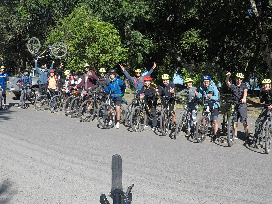 Lago Villarrica-普孔必去景点