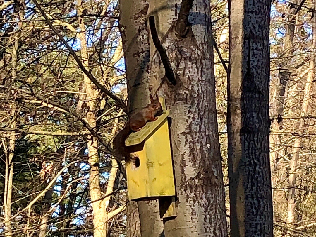 Hisingsparken-哥德堡必去景点