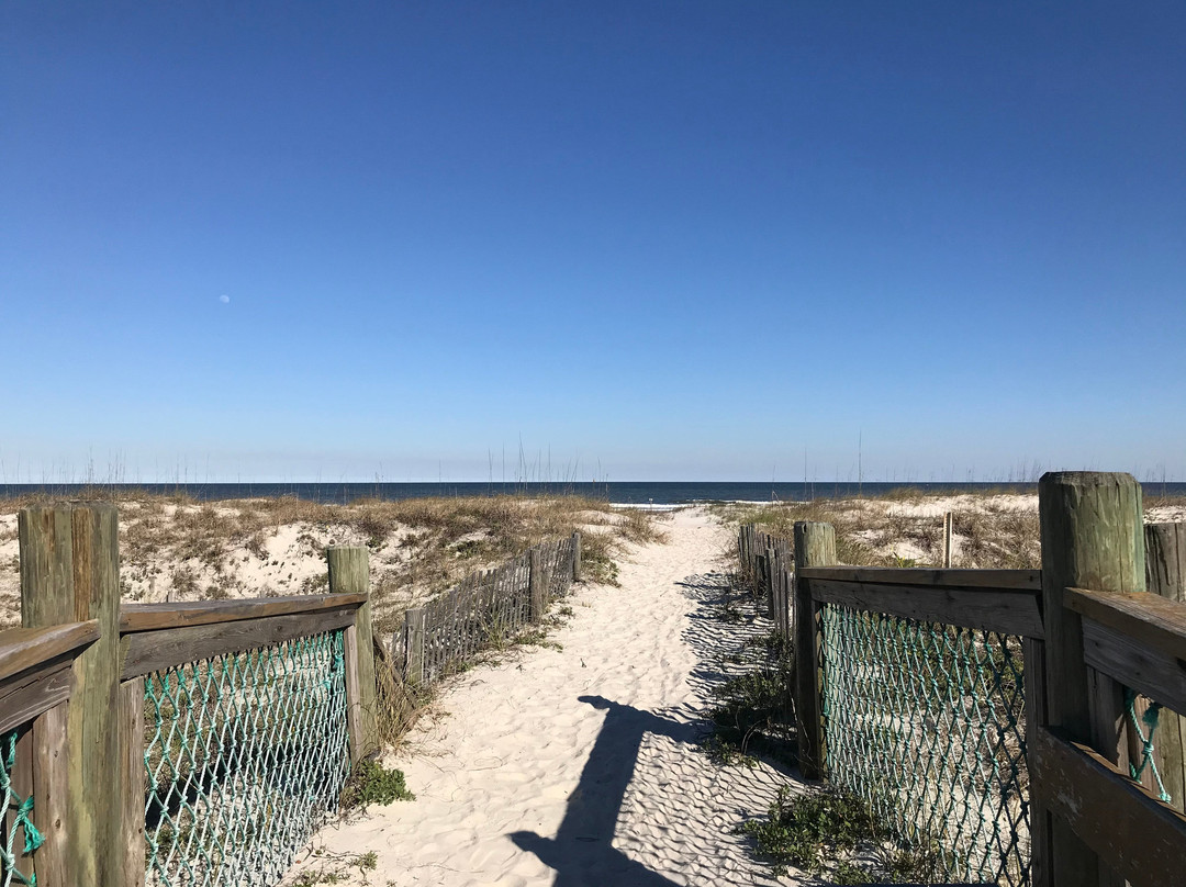 La Fiesta Ocean Inn & Suites主图