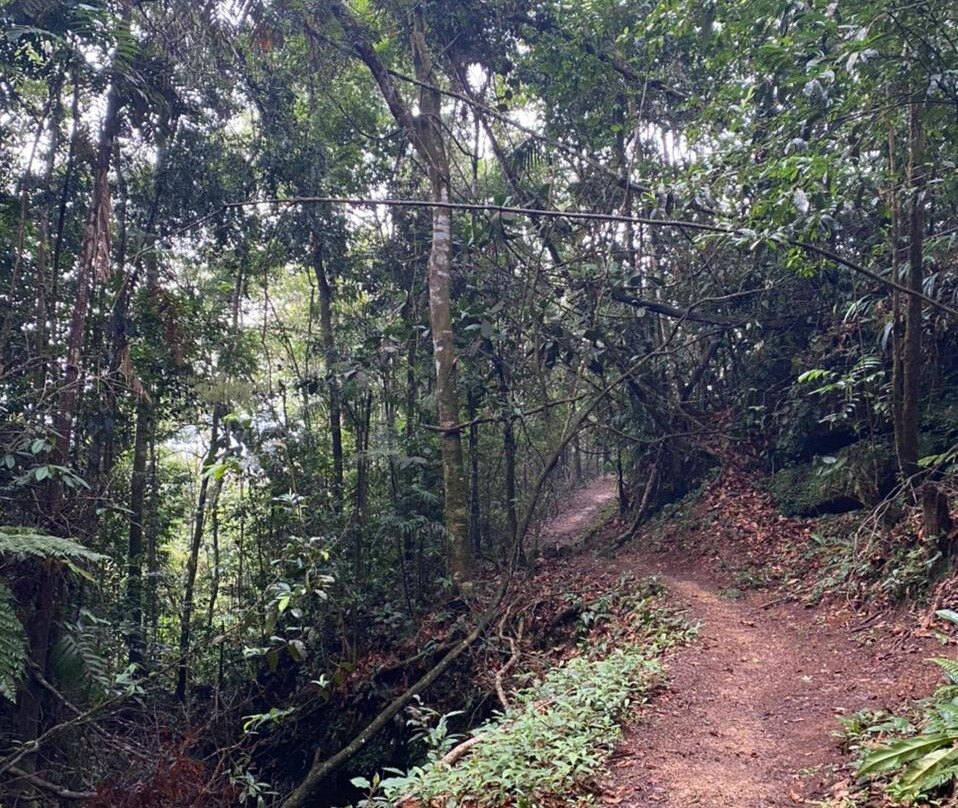 Posada de los Andakies, Reserva Ornitológica景点图片
