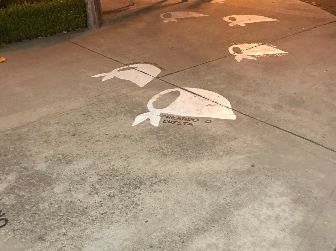 Plaza Independencia-坦迪尔必去景点