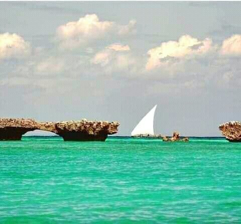 Datch Excursions Zanzibar!景点图片