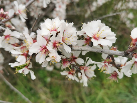 Calzada Romana-Galapagar必去景点