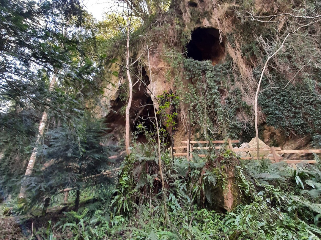 Cuevas de Andina景点图片