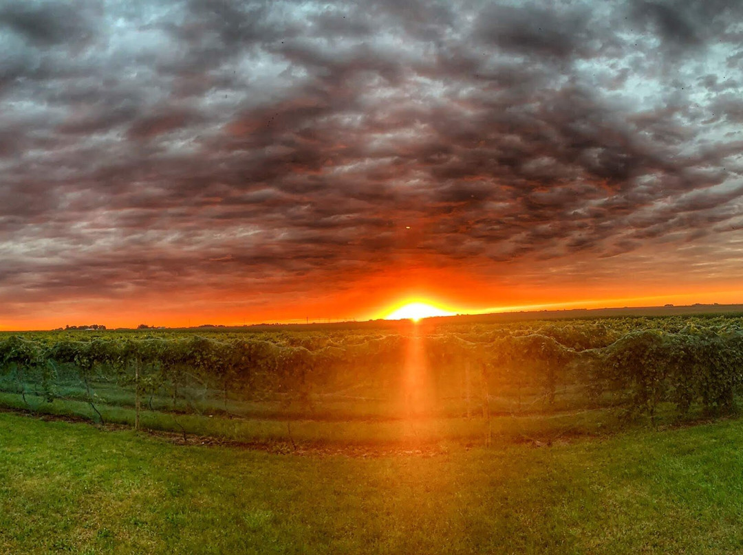 Soldier Creek Winery-Fort Dodge必去景点