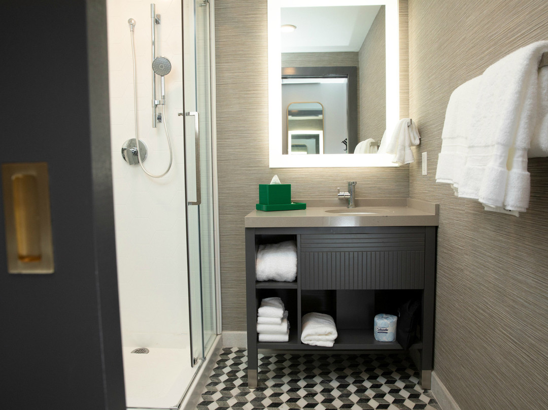 Hotel Indigo St. Louis - Downtown by IHG主图