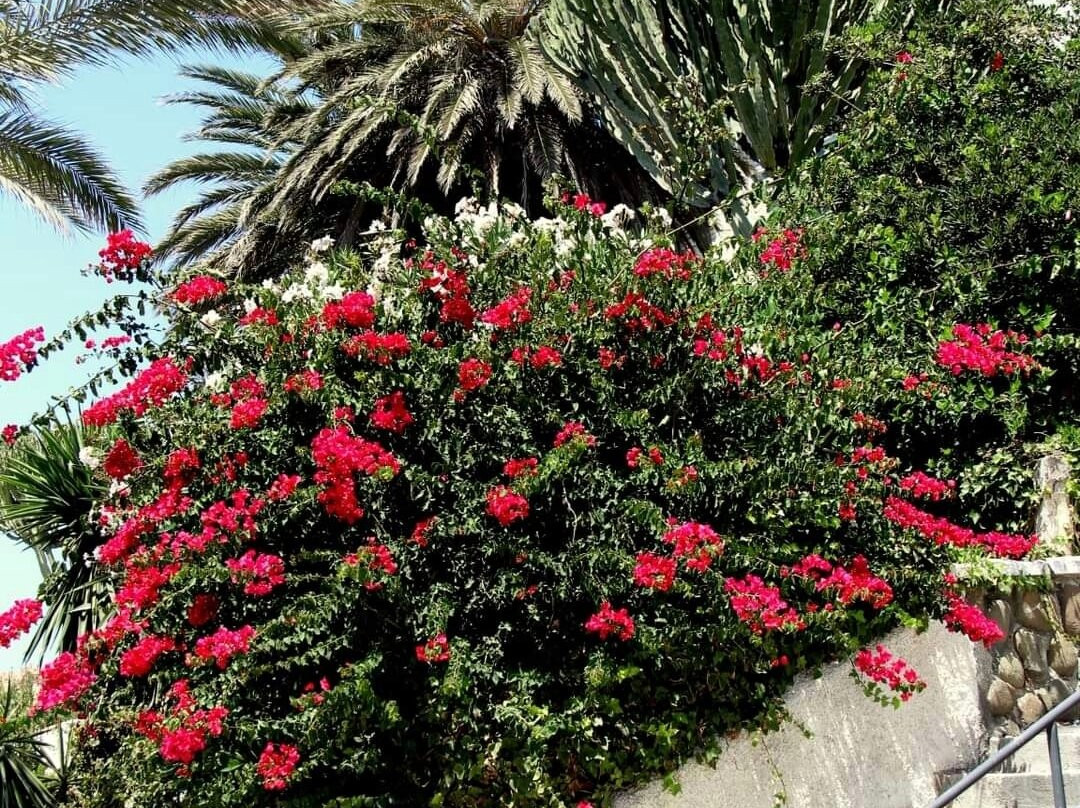 Paseo Maritimo de Estepona-埃斯特波纳必去景点